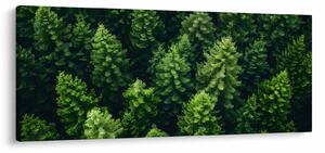 Slika - Šuma (120x50 cm)