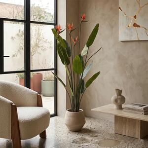 Umjetna strelitzia s cvjetovima 150 cm - 121 - 150 cm
