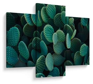 Slika - Opuntia (90x60 cm)