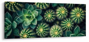 Slika - Kaktusi (120x50 cm)