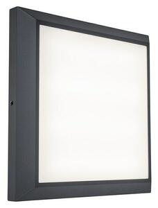 Lutec Vanjska zidna LED svjetiljka Helena (20 W, 36 x 220 x 220 mm, Tamnosive boje, IP54)