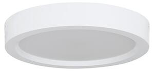Eglo LED nadgradna svjetiljka Idun-E (12 W, Neutralno bijelo)