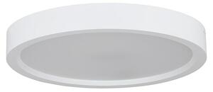 Eglo LED nadgradna svjetiljka Idun-E (15 W, Neutralno bijelo)