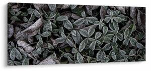Slika - Smrznute biljke (120x50 cm)