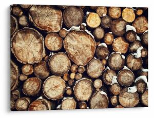 Slika - Drvo u snijegu (70x50 cm)