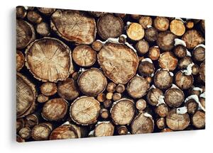 Slika - Drvo u snijegu (90x60 cm)