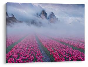 Slika - Krajolik s poljima tulipana (70x50 cm)