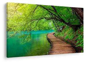 Slika - Plitvička jezera (90x60 cm)