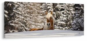 Slika - Konj u zimskom pejzažu (120x50 cm)