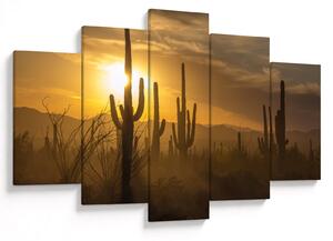 Slika - Saguaro kaktusi (150x105 cm)