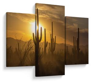 Slika - Saguaro kaktusi (90x60 cm)