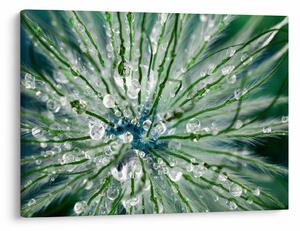 Slika - Makro slika cvijeta (70x50 cm)