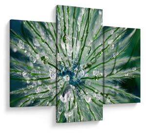 Slika - Makro slika cvijeta (90x60 cm)