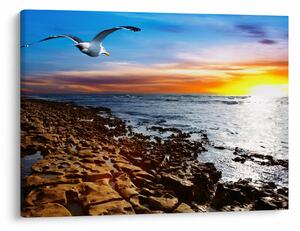 Slika - Galeb leti iznad obale (70x50 cm)
