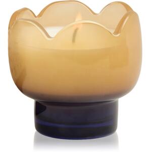 Paddywax Tulip Garden & Grove mirisna svijeća 155 g