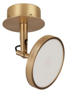 LED reflektor u zlatnoj boji ø 12 cm Asteria Spot – UMAGE