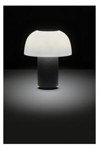 Crna LED stolna lampa aluminijska s mogućnosti zatamnjivanja (visina 22 cm) Harvest – Zone