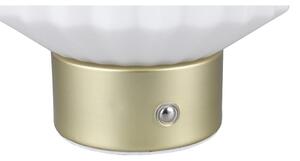 Bijela/u zlatnoj boji LED stolna lampa s mogućnosti zatamnjivanja sa staklenim sjenilom (visina 19,5 cm) Lord – Trio