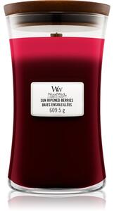 Woodwick Trilogy Sun Ripened Berries mirisna svijeća s drvenim fitiljem 609.5 g