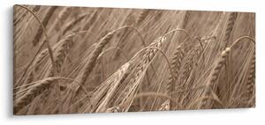 Slika - Zlatno polje (120x50 cm)