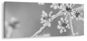 Slika - Smrznuta biljka (120x50 cm)
