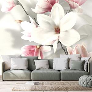 Tapeta bijela magnolija - 150x100