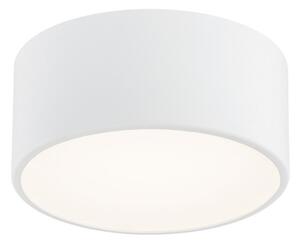 Argon 3885 - LED Stropna svjetiljka VICHY LED/13,5W/230V bijela