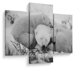 Slika - Polarni medvjedi (90x60 cm)