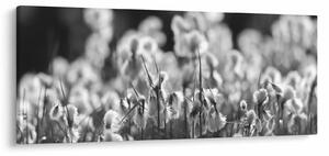 Slika - Ljetna livada (120x50 cm)