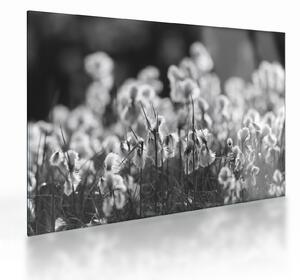 Staklena slika - Ljetna livada (70x50 cm)
