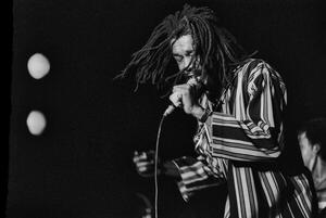 Fotografija Peter Tosh in concert/Roma, 1980