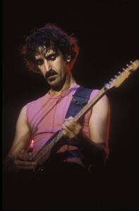 Fotografija Portrait of rock musician Frank Zappa, 1982