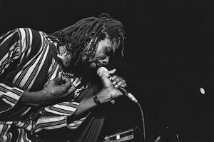 Fotografija Reggae musician Peter Tosh in concert, Rome, 1980