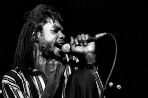 Fotografija Peter Tosh in concert/Roma, 1980