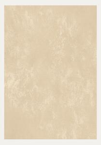 Rasprodaja pločica Laminam Laminam5+ Calce Avorio 100X300 cm