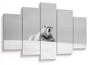 Slika - polarni medvjed (150x105 cm)