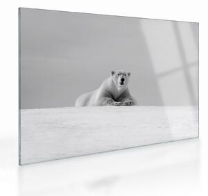 Staklena slika - polarni medvjed (70x50 cm)