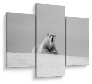 Slika - polarni medvjed (90x60 cm)