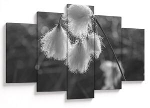Slika - Cottongrass (150x105 cm)