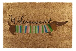 Otirač od kokosovih vlakana 40x60 cm Welcome Sausage Dog – Artsy Doormats