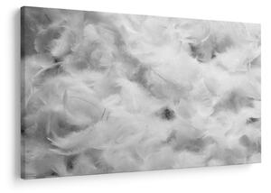 Slika - Oblaci od perja (90x60 cm)