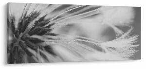 Slika - Maslačak (120x50 cm)