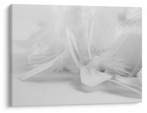 Slika - Perje (70x50 cm)