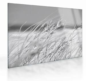 Staklena slika - Trava za plažu (70x50 cm)