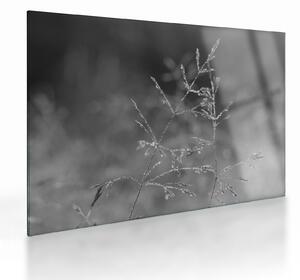 Staklena slika - Seoska livada (70x50 cm)