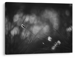 Slika - Livadarka (70x50 cm)