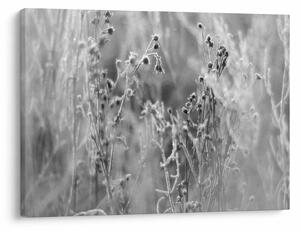 Slika - Divlja livada (70x50 cm)