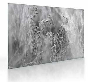 Staklena slika - Divlja livada (70x50 cm)
