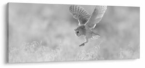 Slika - Sova u polju (120x50 cm)