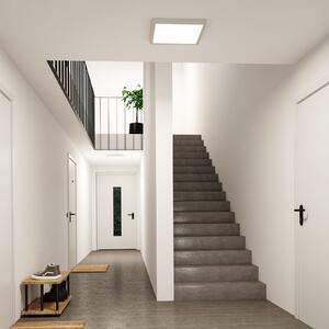 Paulmann Abia 2 LED panel, duljina 40 cm, bijela, CCT, plastika, Bijela, Dnevni boravak/blagovaonica, Plastika